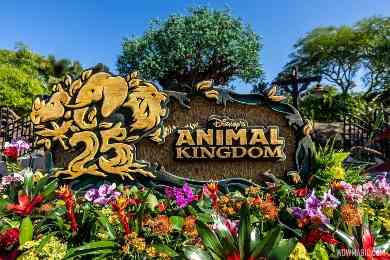 Disney World Animal Kingdom Theme Park shuttle