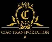 Orlando Airport Transportation to Hotel, Port Canaveral, Orlando MCO, Disney, Universal Studios